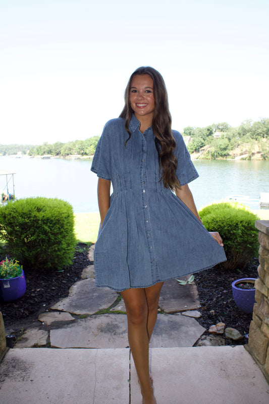 The Renfroe Jean mini Dress