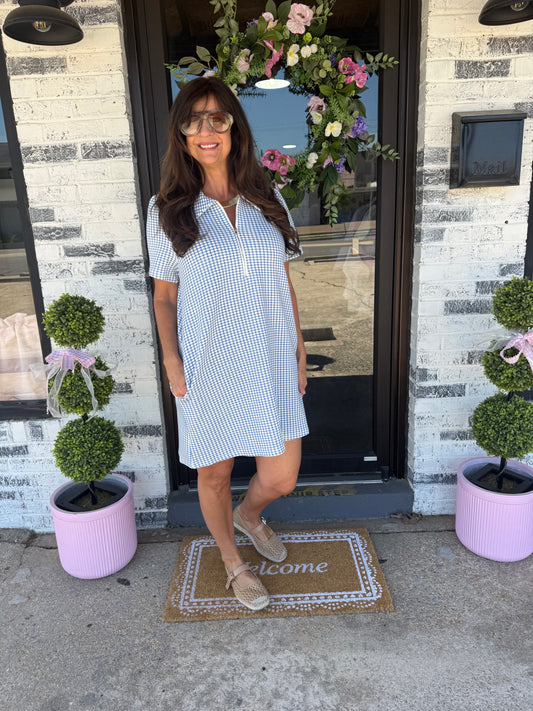 Blue Gingham Mini